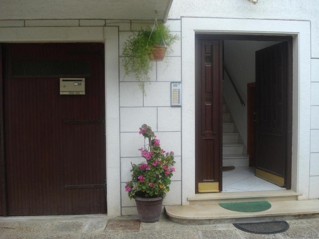 Apartments Ivanka Zadar Zewnętrze zdjęcie